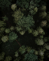 6 - NEW ARRIVALS - 1080x1350