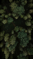 6 - NEW ARRIVALS - GREEN - 1080x1920