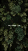 6 - NEW ARRIVALS - GREEN - 1080x1920